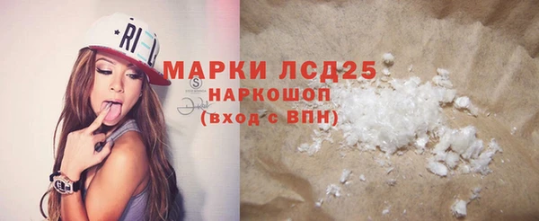 стаф Аркадак
