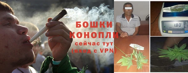 молекула духа Арсеньев