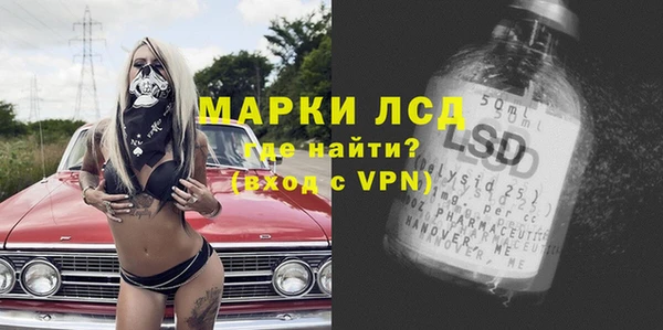 молекула духа Арсеньев