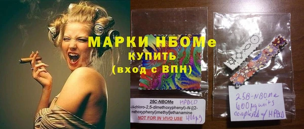 стаф Аркадак