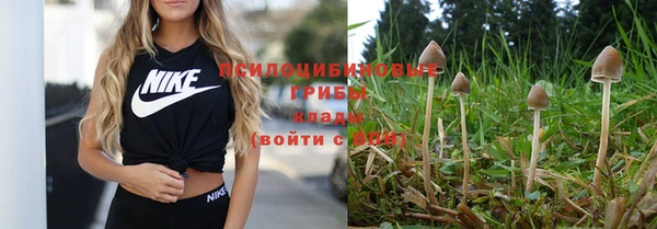 прущие крисы Балабаново